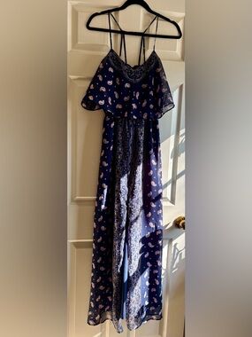 princess vera wang Navy Paisley Maxi Dress with Pink Accents